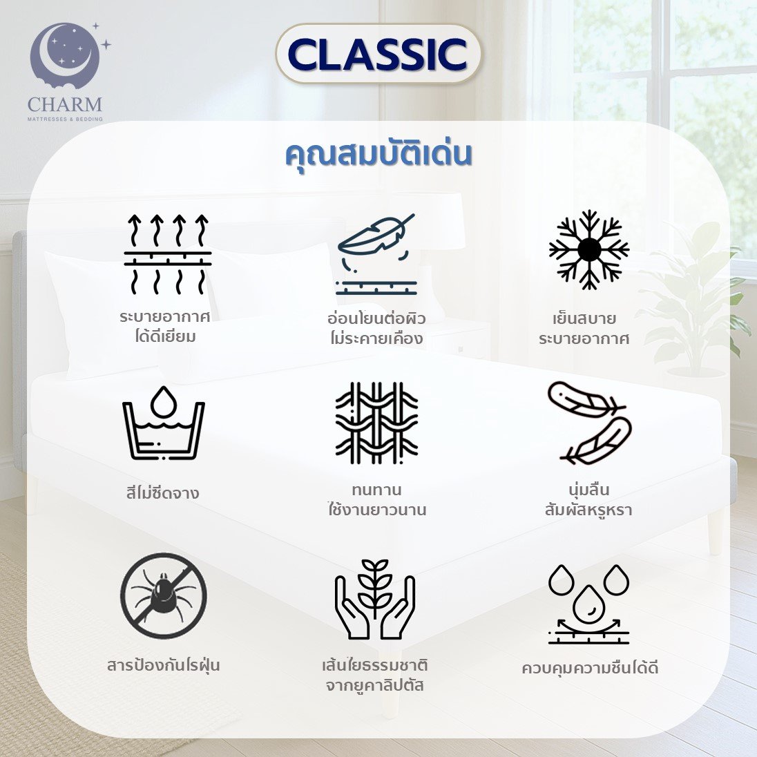 CHARM CLASSIC ชุดผ้าปูที่นอนพร้อมนวม 6 ฟุต 6 ชิ้น สี DARK GREY_2